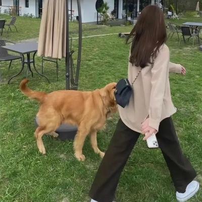 家庭私小说